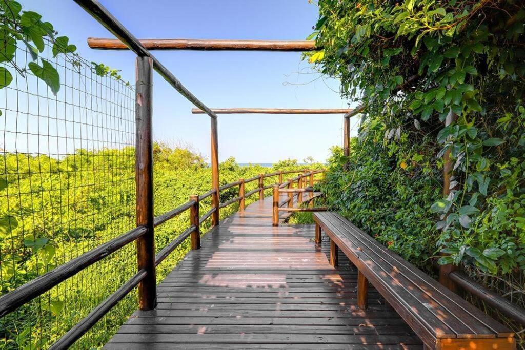 Apartamento Costao Das Gaivotas - Praia Do Santinho - Ingleses - Florianópolis Zewnętrze zdjęcie